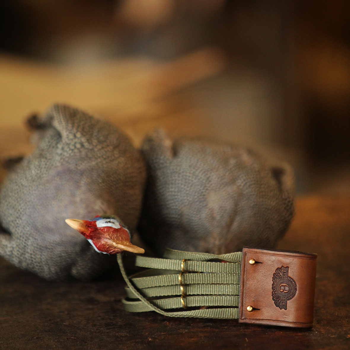 Barberton Bird Carrier