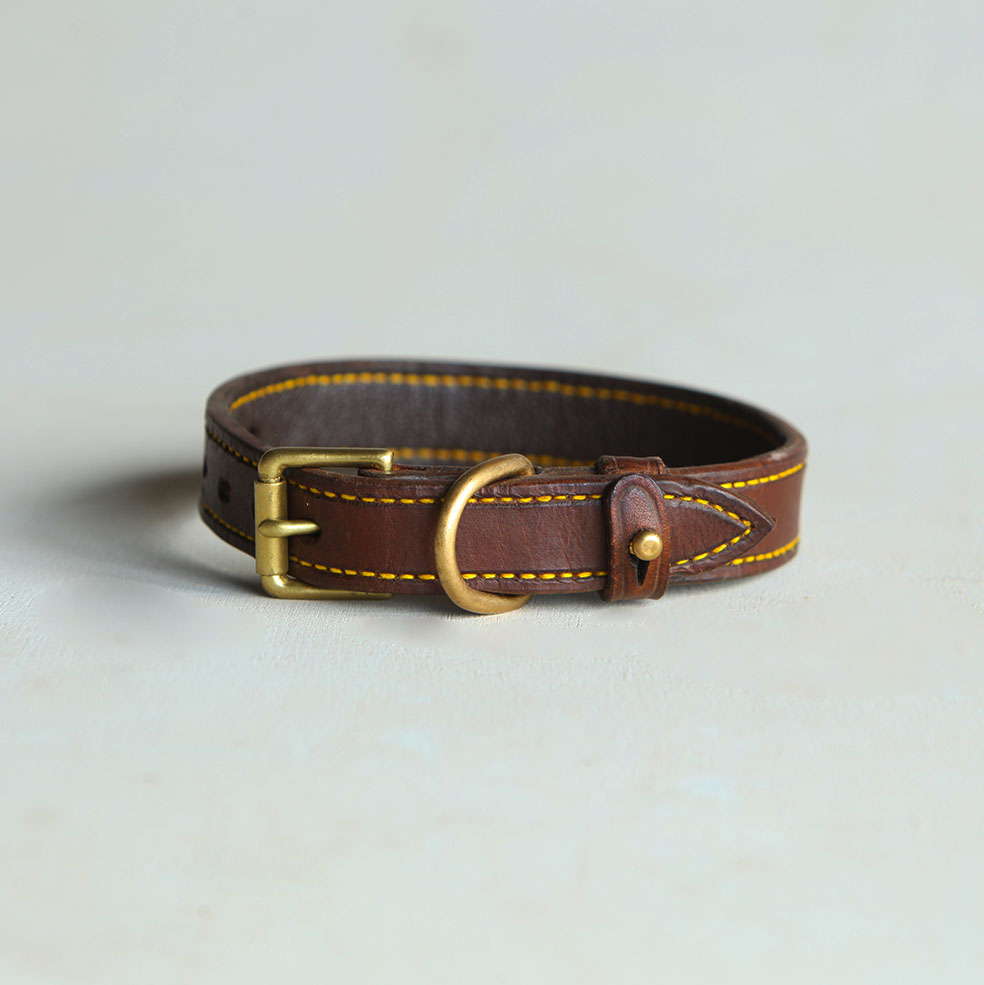 Simonstown Dog Collar | 25mm
