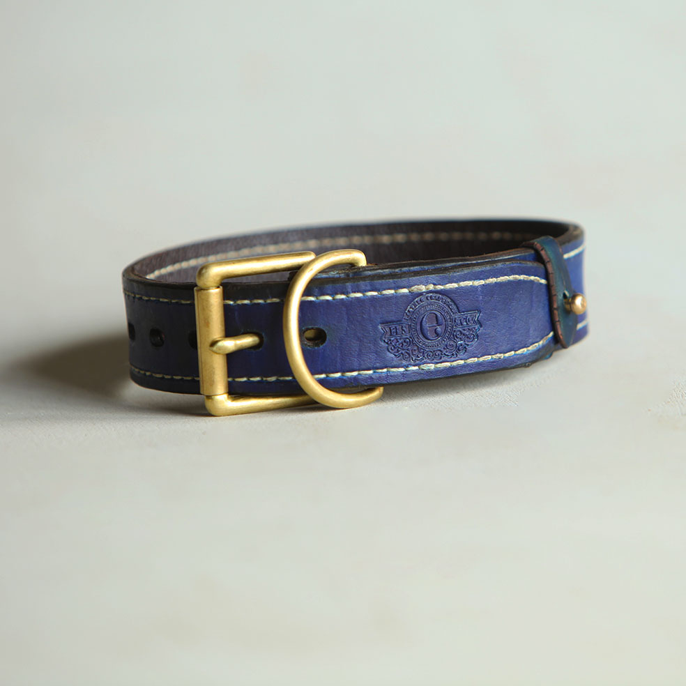 Simonstown Dog Collar | 50mm